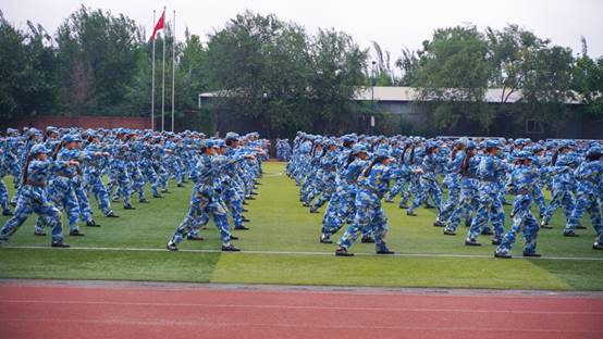 许多人在草地上描述已自动生成