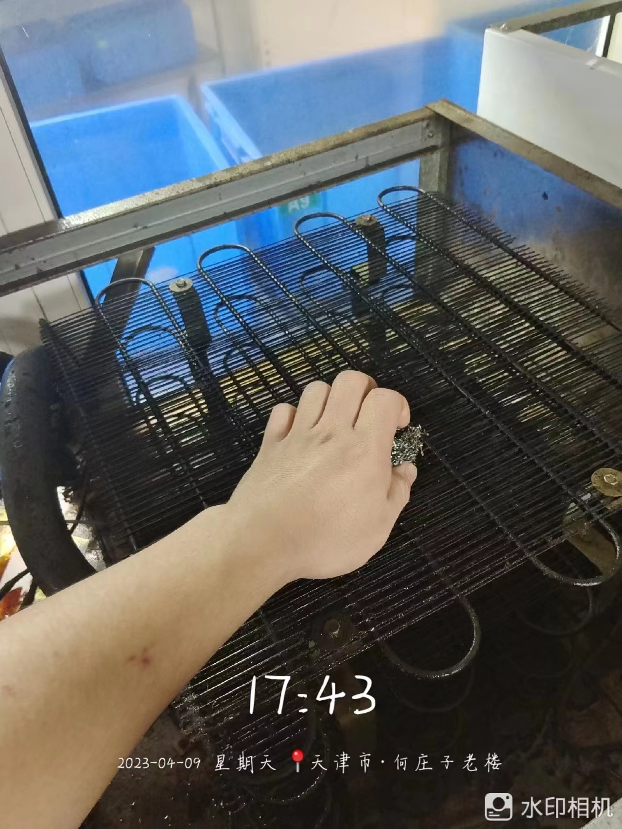 2e137e8f412b7927d2ee8dc06ec62a8