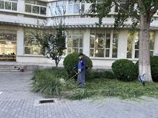 807d48d287bbd1897347babec4d8808