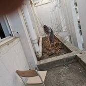 3d1f7efe84d58f81098379738805733