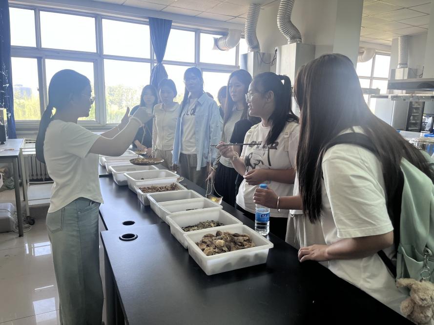 8521775b5d2e55353d1b9c52e26c146