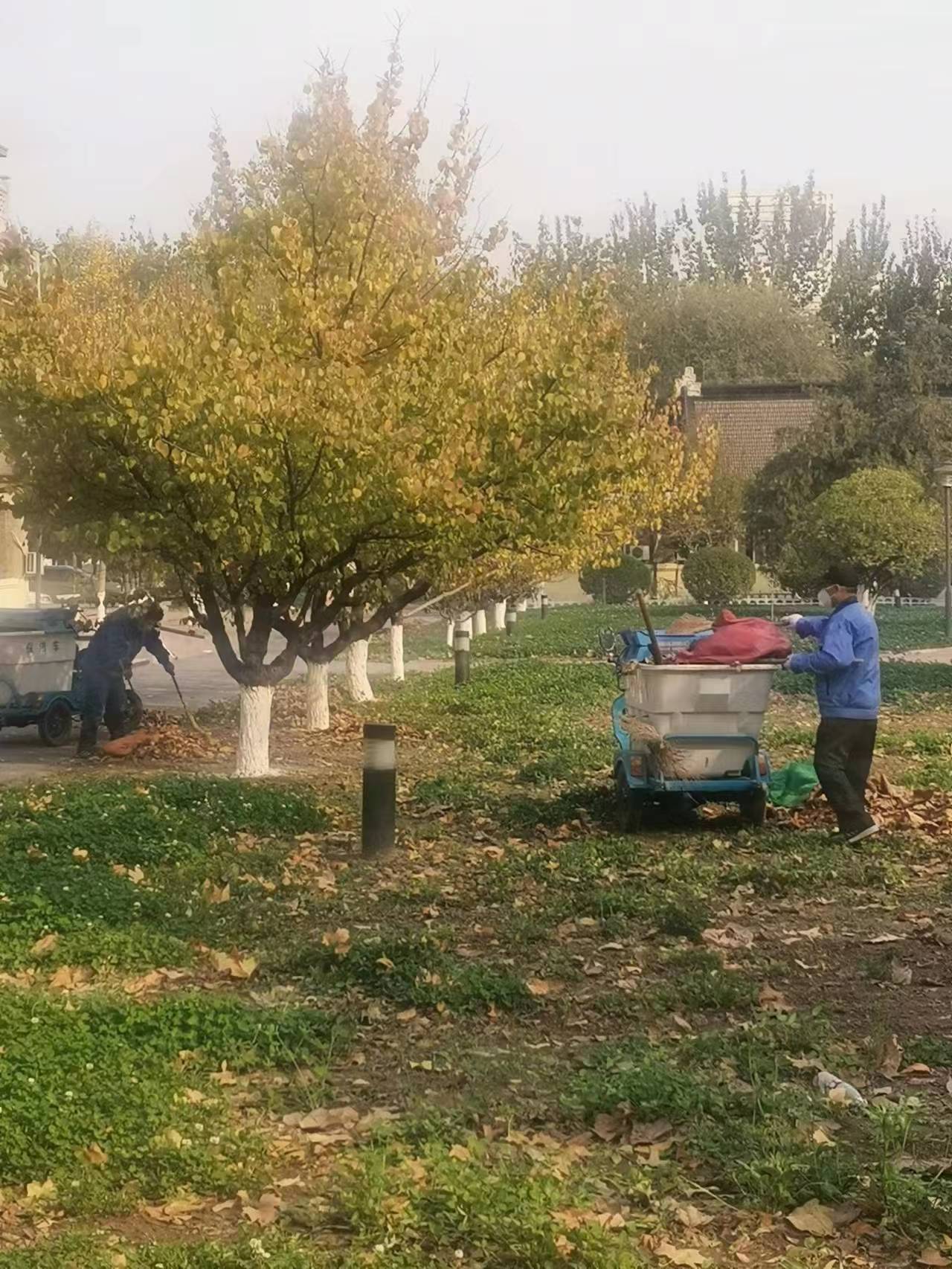 ed1d12b8110c0779a980d18bf805a22