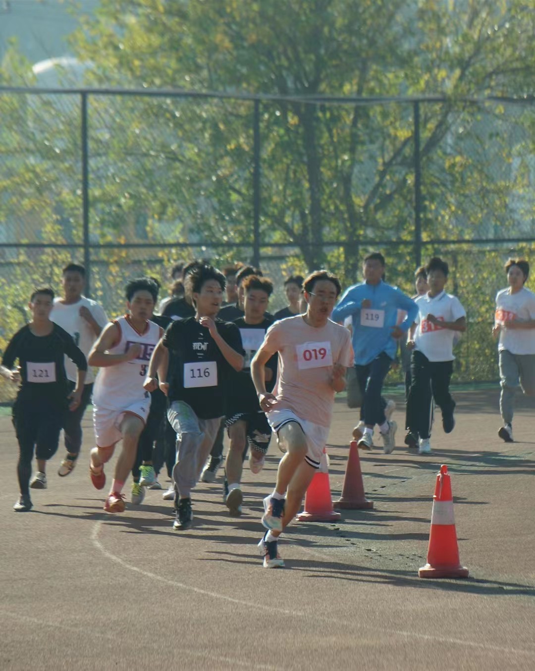 96cf05b91f25af402ab9a3272c3ebdc