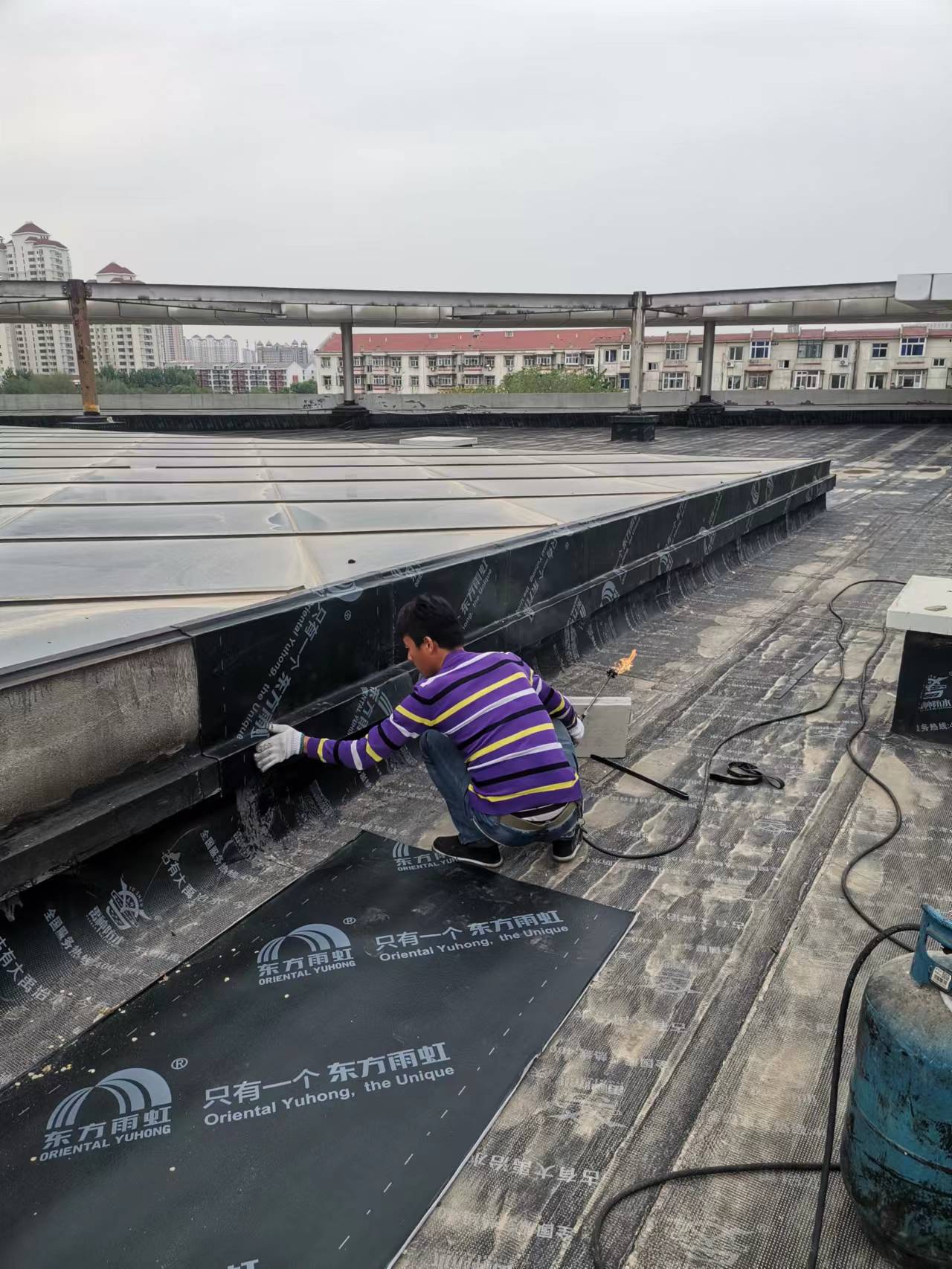 ff2769f3ec876b3e4459ef120659ff5