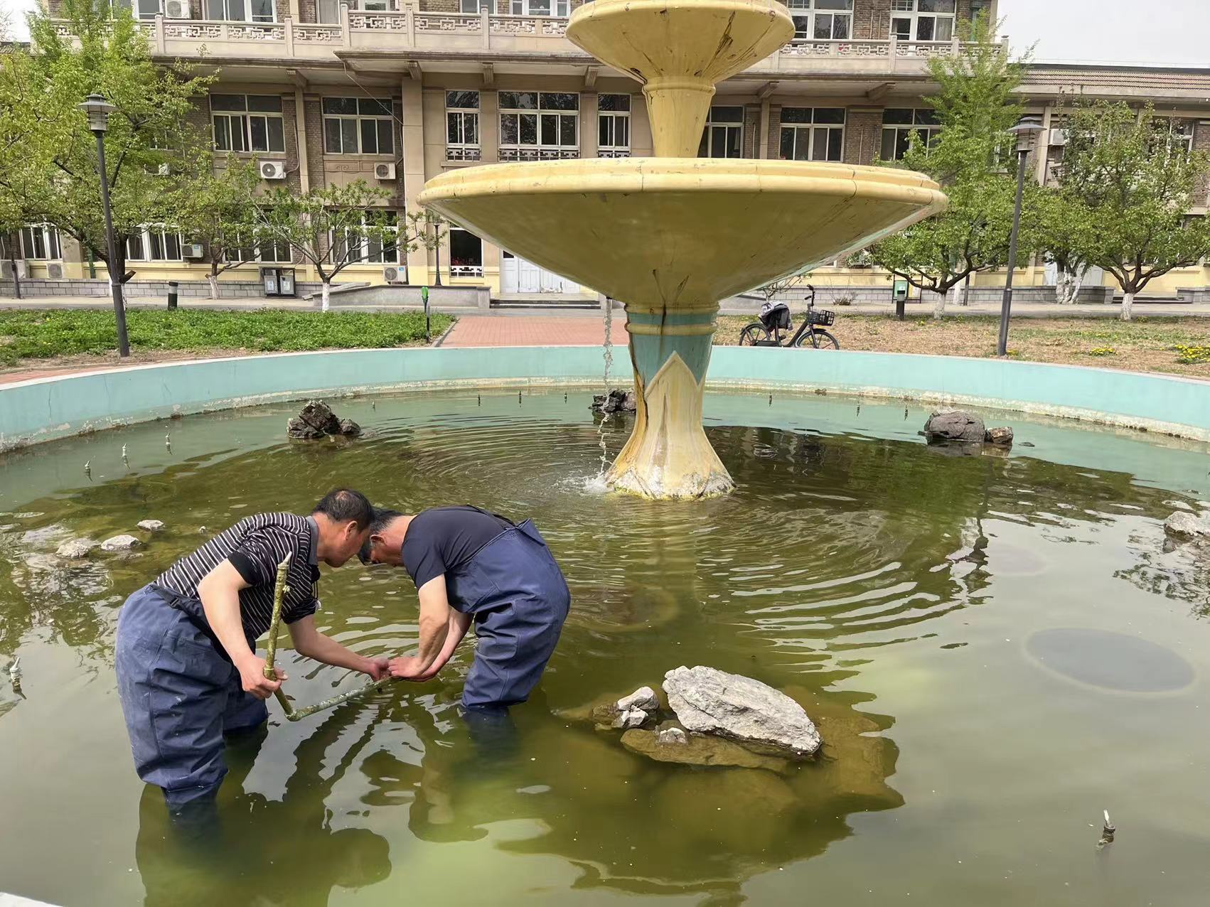 207dfe66583ad2287a706553fe12d09