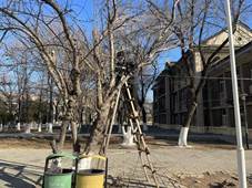 cb2d630e6e6dfea5885b693b9b96ac4