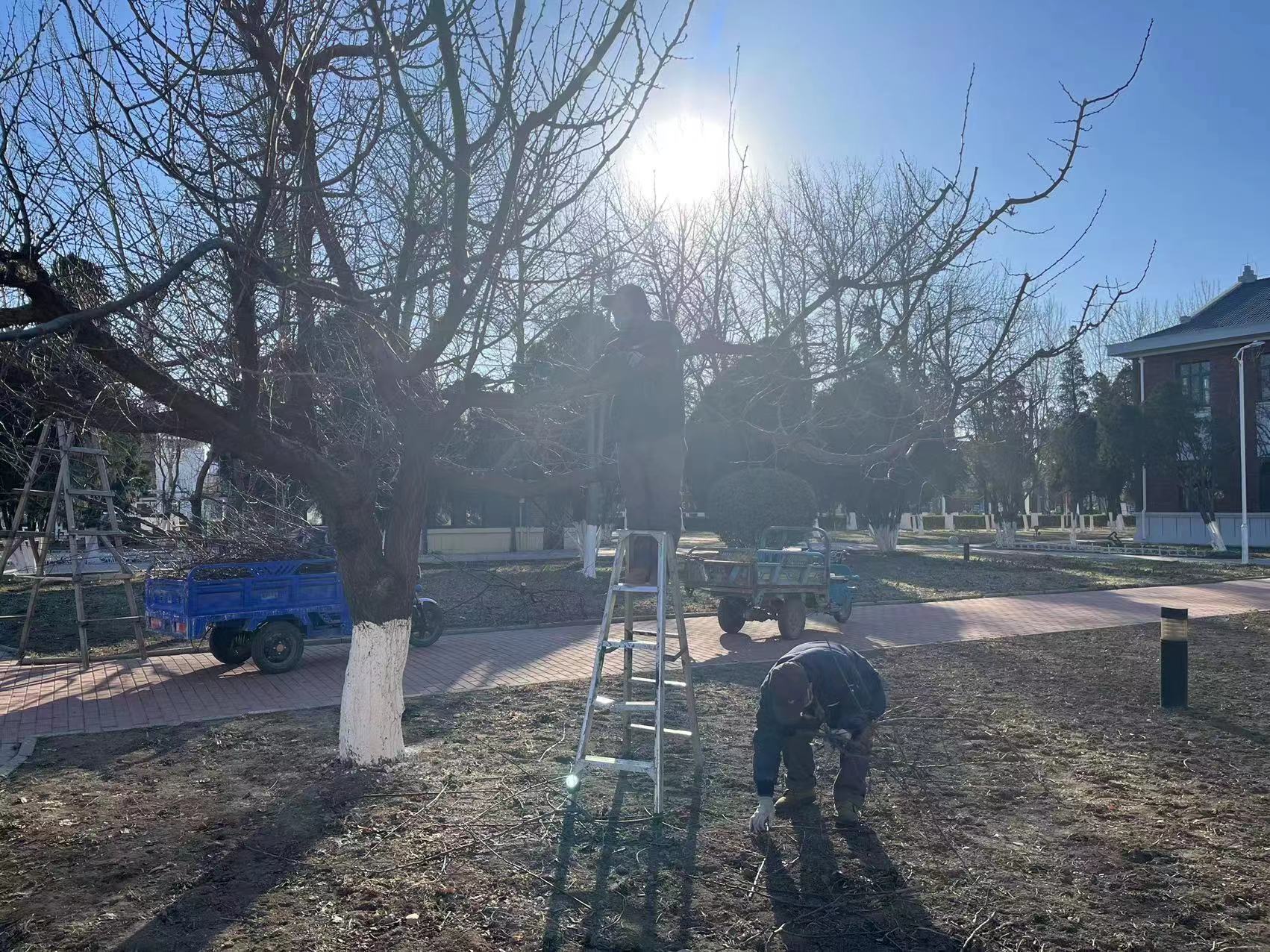 c5b9e40daaf2ff389746621ed03df87