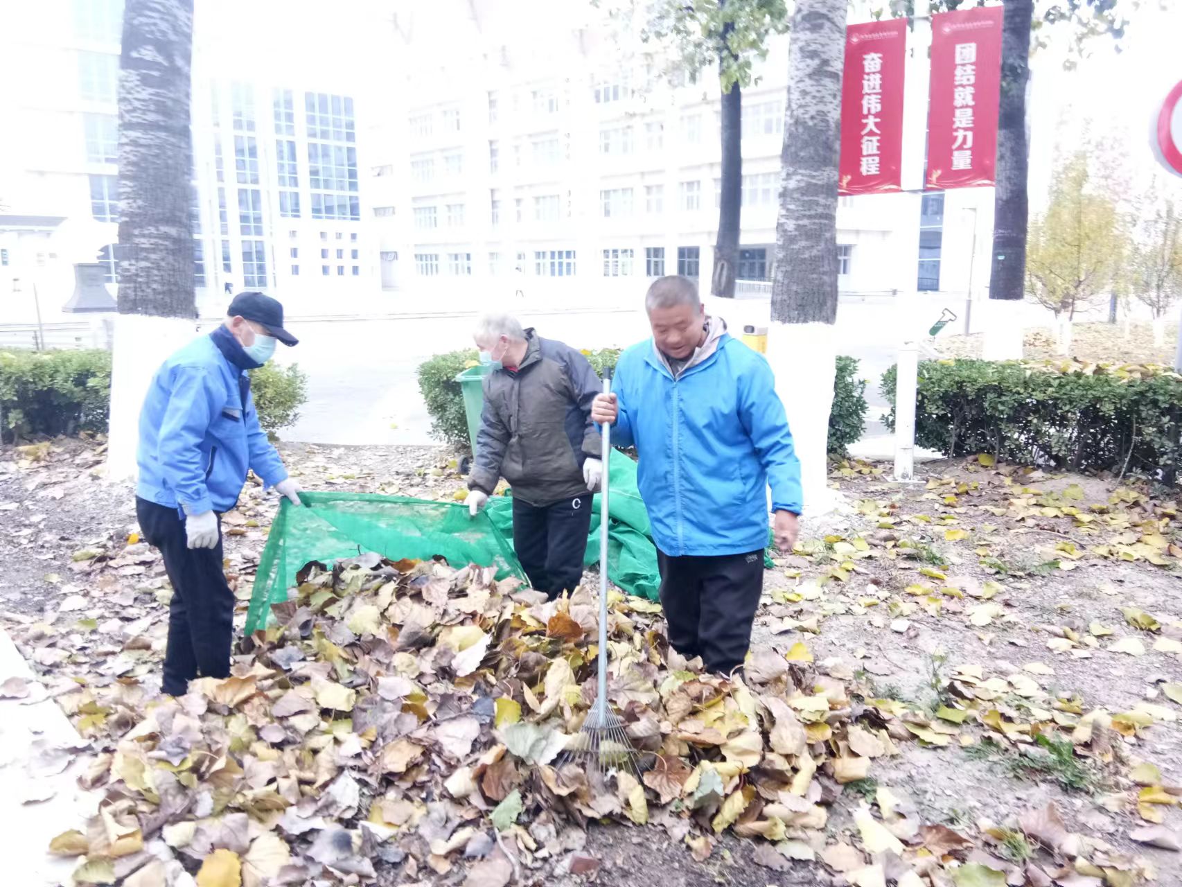 6fe77b98282246230f2bd68f301a563