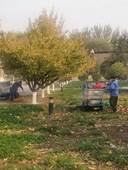 79d7daac8a0795af542fb67e0ef0020